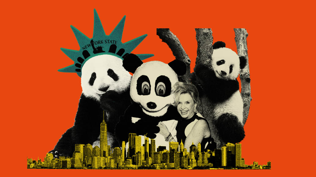 Inside a U.S. Rep’s ‘Deeply Troubling’ Brush With China’s Panda Diplomacy