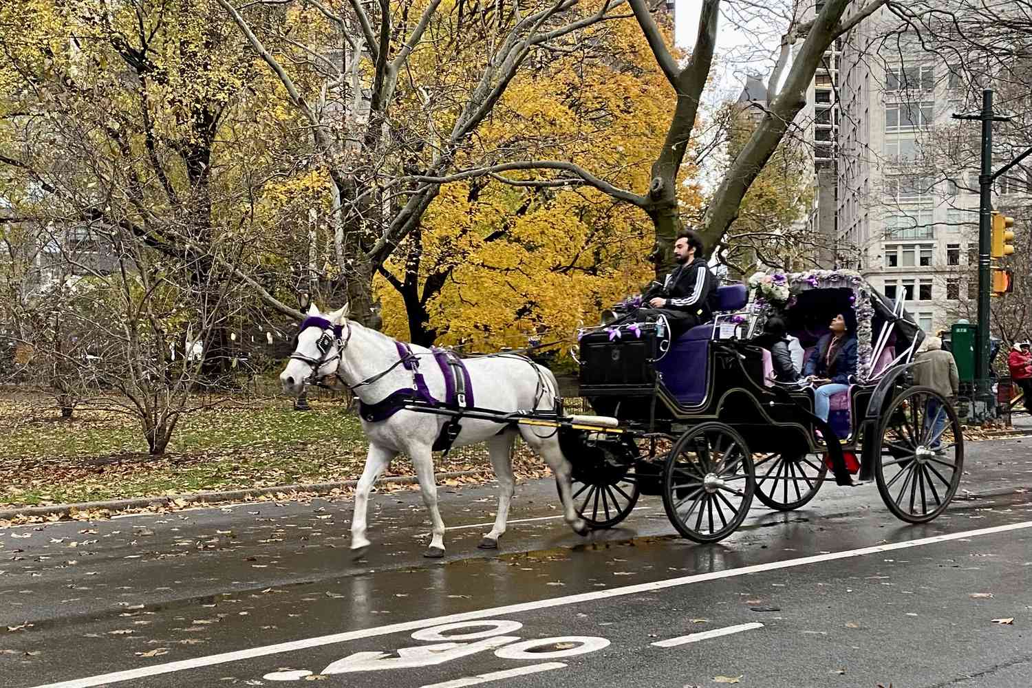 It’s Beyond Time to Ban Horse-Drawn Carriages in New York City