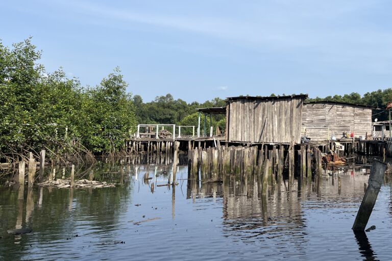 Libreville’s shrinking mangroves leave Gabon’s capital prone to floods