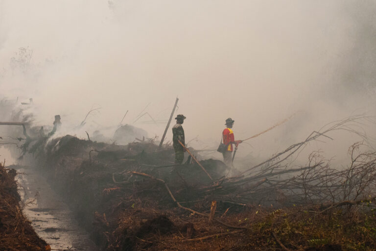 Indonesian oil palm firm slapped with $61m fine for fires on its plantation