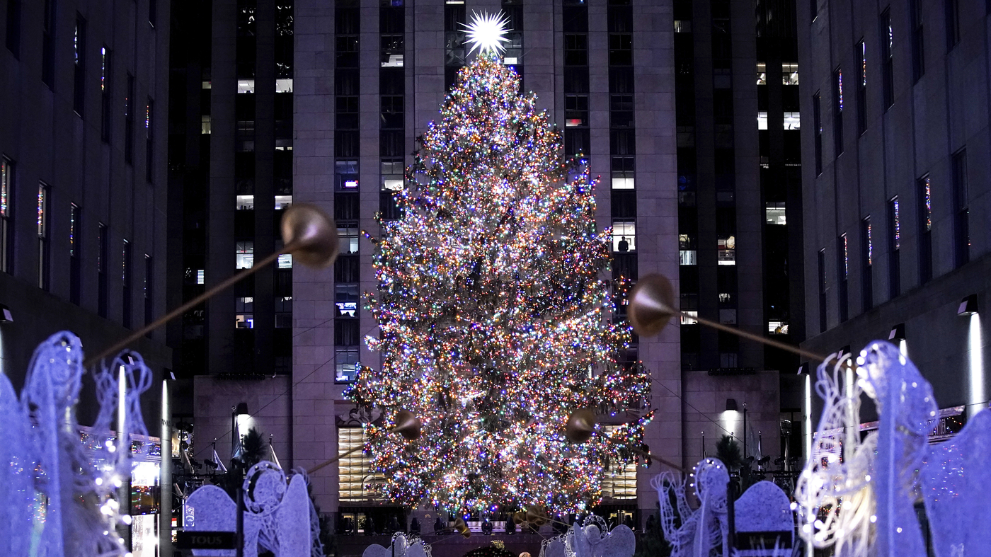 Yes, they’ve already picked the Rockefeller Center’s giant Christmas tree for 2023