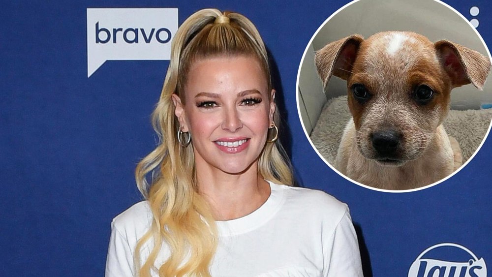 NYC Animal Rescue Names Dogs After Bravo Stars: Meet Ariana Madix and More