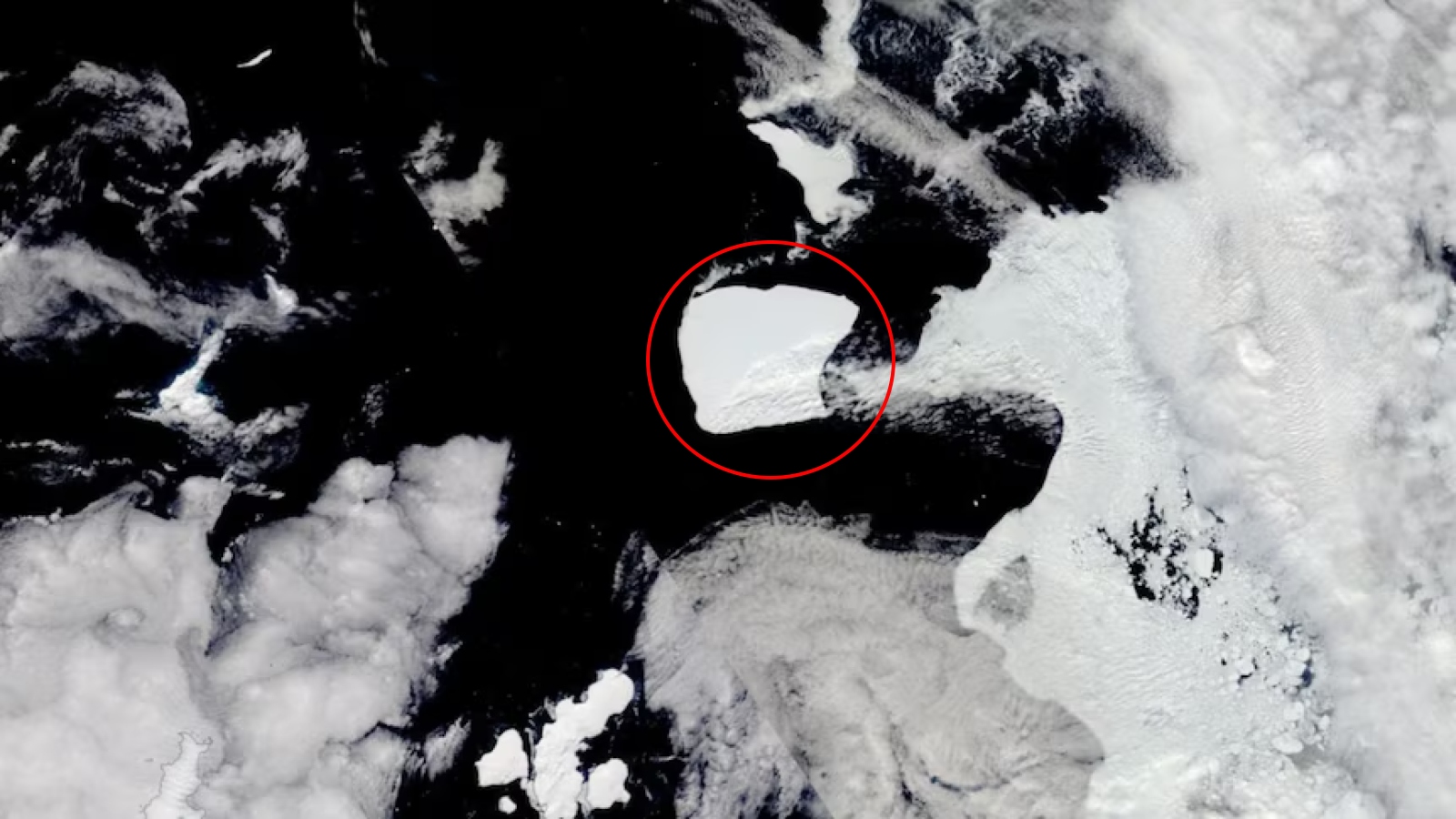 World’s biggest iceberg 3 times the size of New York City is finally escaping Antarctica after being trapped for almost 40 years