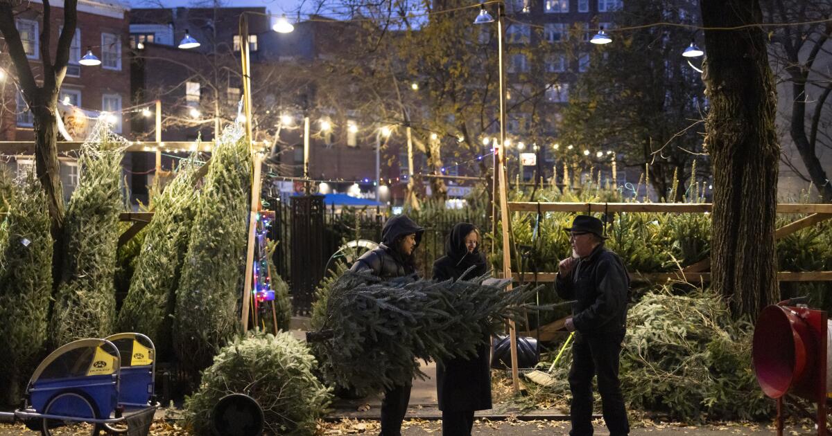 For tree vendors of New York City, Christmas is serious business. Do not crash their turf