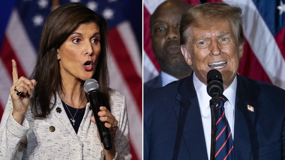 Nikki Haley slams Trump after defamation trial verdict: ‘Not talking about’ border, inflation