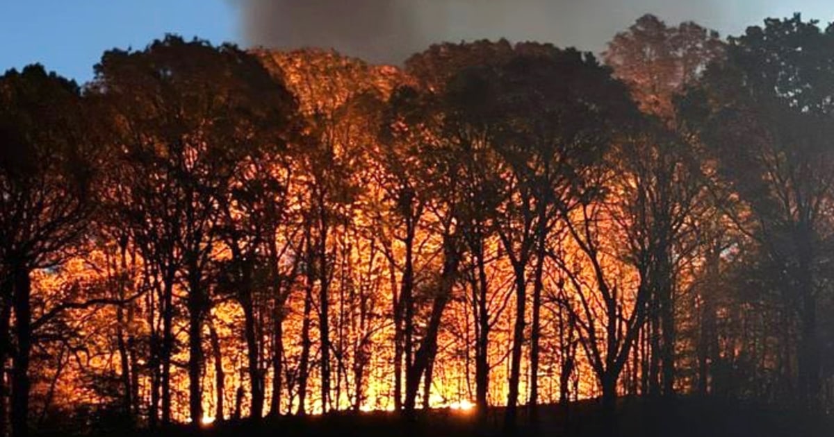 Brush fire breaks out in Brooklyn’s Prospect Park as Northeast drought continues