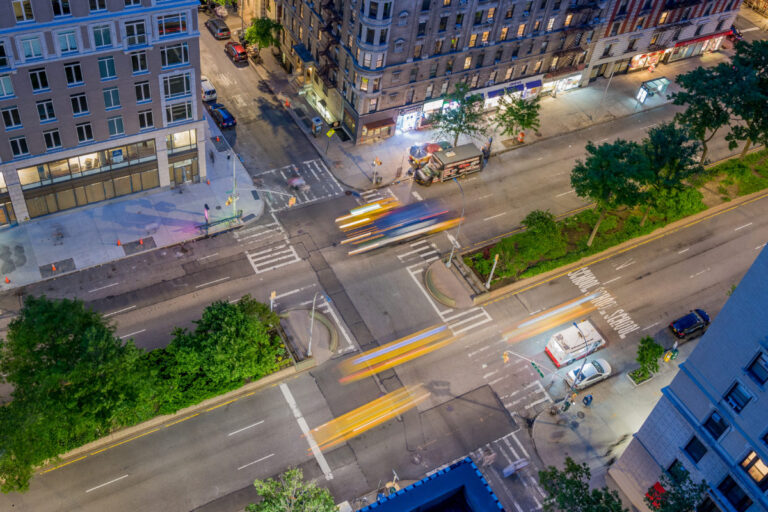 Broadway Mall rewilding brings native plants and wildlife to New York City