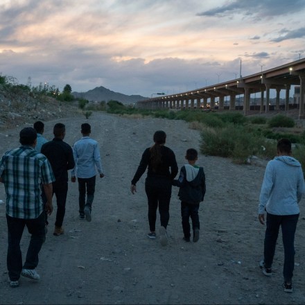 Palantir Gets Millions of Dollars From New York City’s Public Hospitals